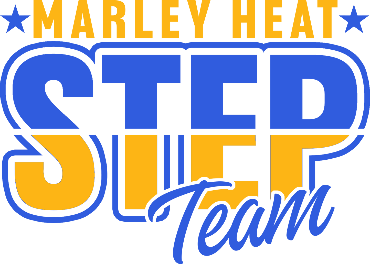 Marley Middle Step Team