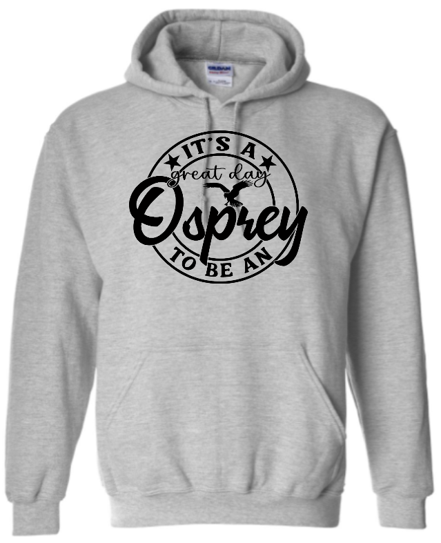Severna Park Middle School Hoodie